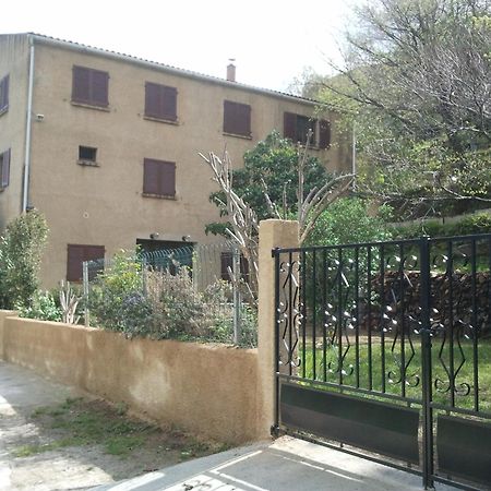 Speloncato  Vacancorse Maison U Canale מראה חיצוני תמונה