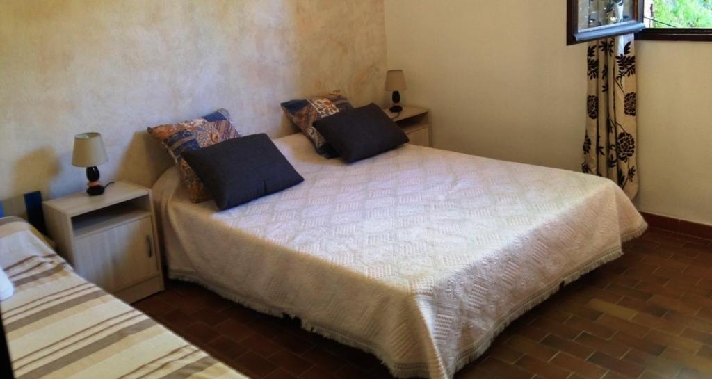 Speloncato  Vacancorse Maison U Canale מראה חיצוני תמונה